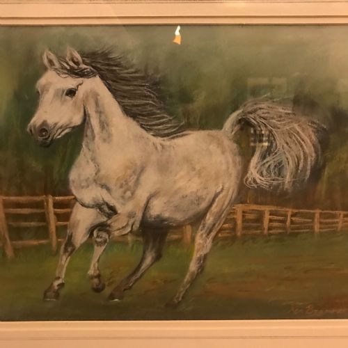 GREY ARAB STALLION HORSE PASTEL PAINTING - ADDITIONAL PHOTO 2