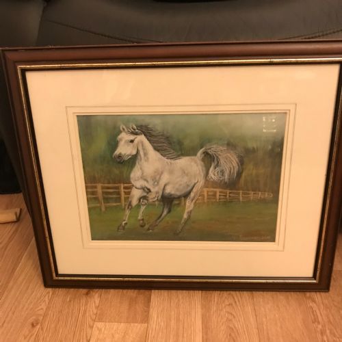 GREY ARAB STALLION HORSE PASTEL PAINTING - ADDITIONAL PHOTO 3