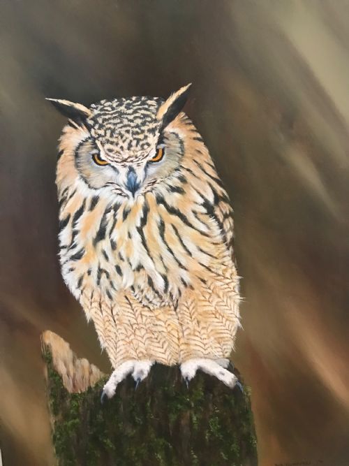 TAWNY OWL OIL PAINTING ON PANEL BIRD PICTURES - ADDITIONAL PHOTO 3