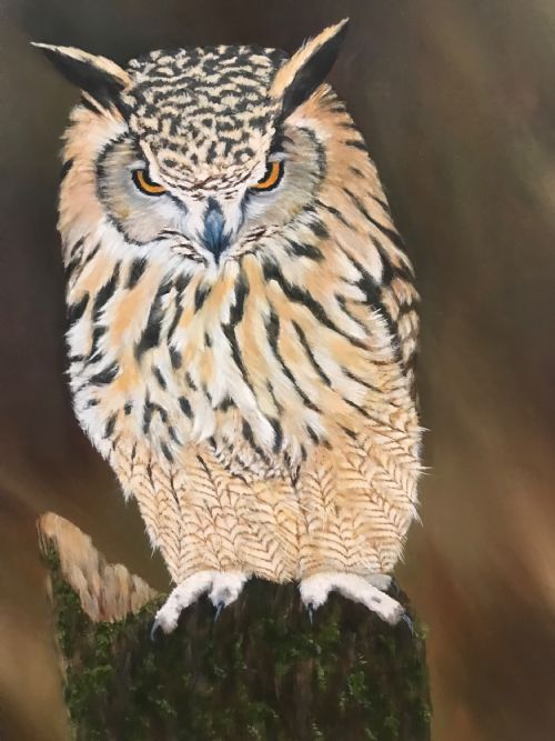 TAWNY OWL OIL PAINTING ON PANEL BIRD PICTURES - ADDITIONAL PHOTO 4