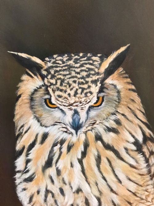 TAWNY OWL OIL PAINTING ON PANEL BIRD PICTURES - ADDITIONAL PHOTO 5