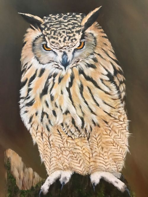 TAWNY OWL OIL PAINTING ON PANEL BIRD PICTURES - ADDITIONAL PHOTO 6
