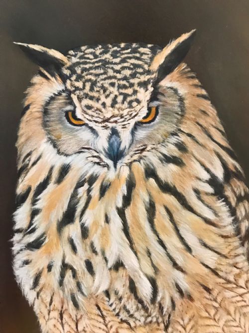 TAWNY OWL OIL PAINTING ON PANEL BIRD PICTURES - ADDITIONAL PHOTO 7