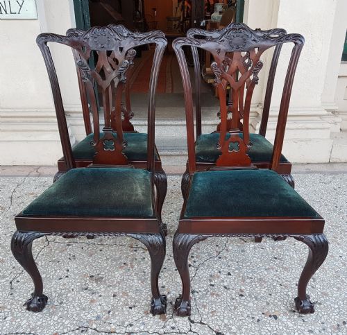 Edwardian  Chippendale  Style Chairs