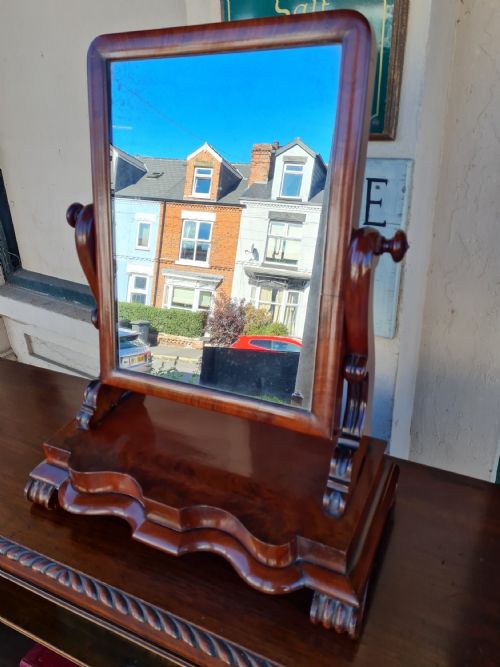 Antique Toilet Mirror