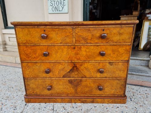 Antique Burr Walnut Chest of Drawers