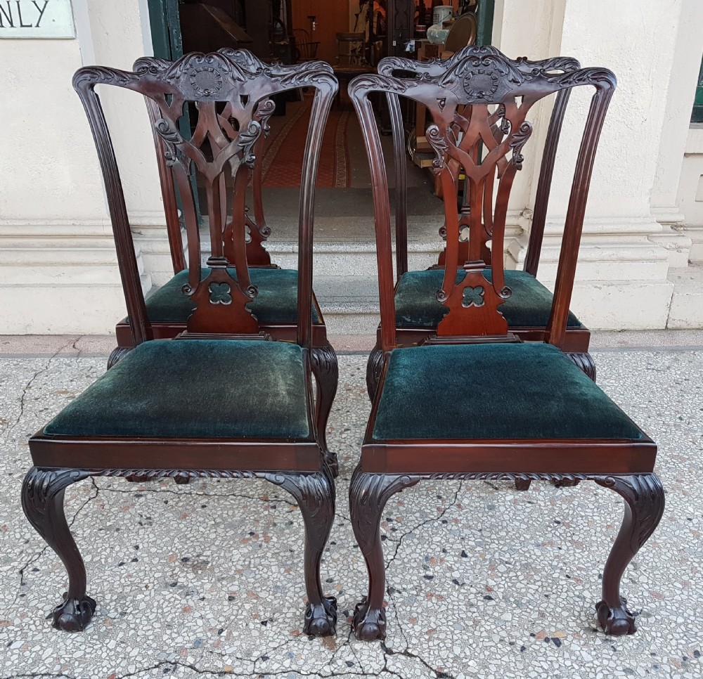 Edwardian  Chippendale  style chairs 