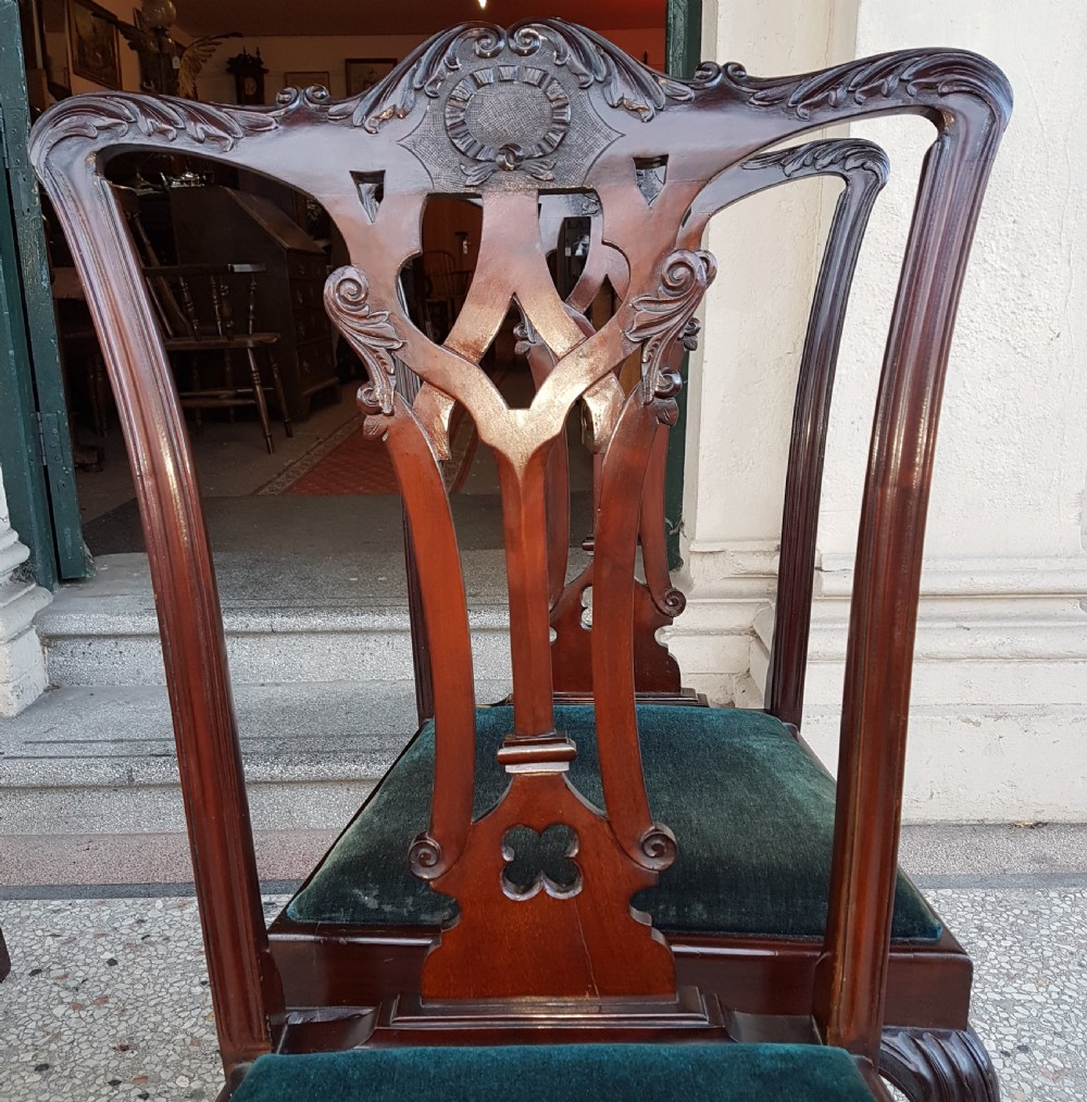 Edwardian  Chippendale  style chairs  View II