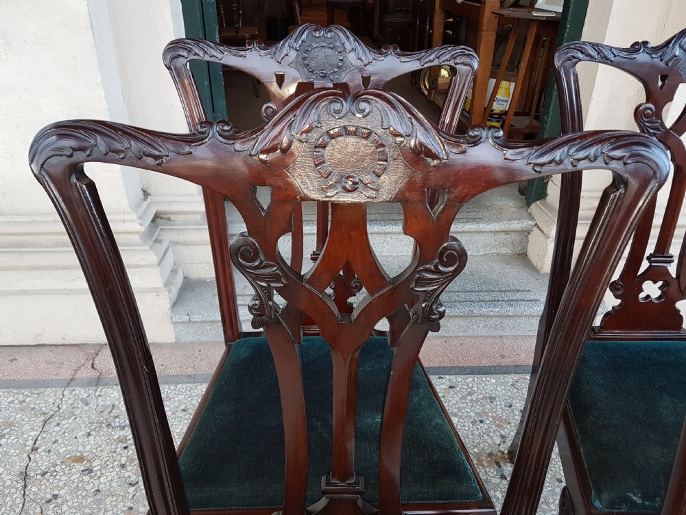 Edwardian  Chippendale  style chairs  View III