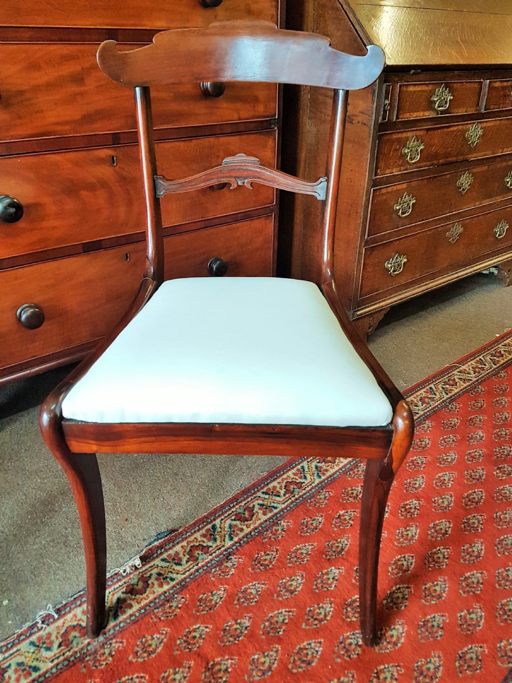 REGENCY  ROSEWOOD CHAIR 