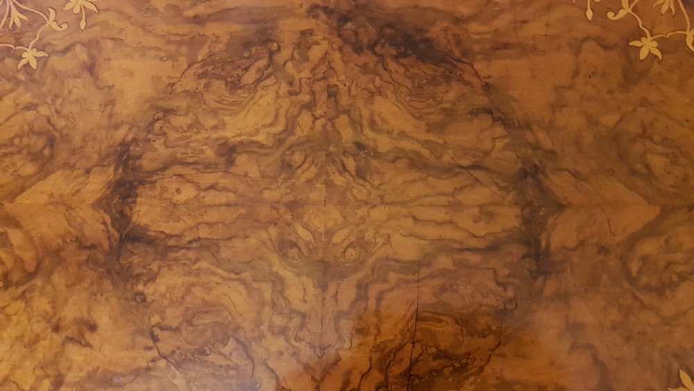  OVAL BURR WALNUT TABLE   View IV