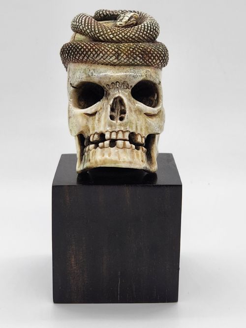 fig 1. A Rare Japanese Okimono Meiji Period Carving of A Skull Entwined By A Snake