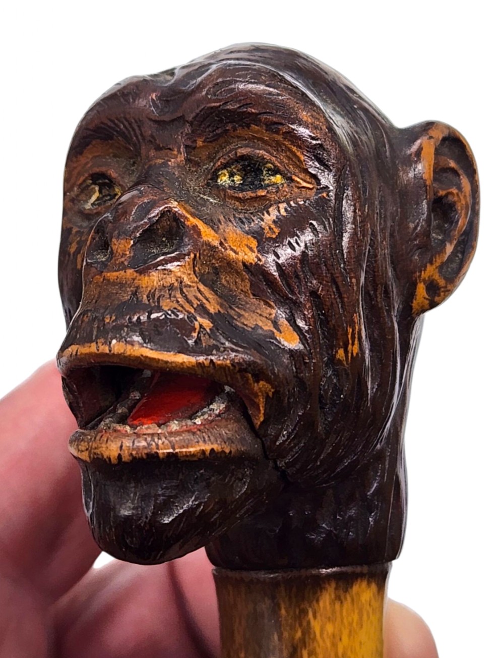 A Rare 19th Century Novelty Victorian Automated Monkey Head Bamboo Walking Cane / Stick With Automation Opening Mouth