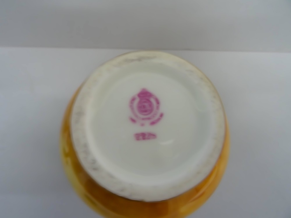 Royal Worcester Price Vase View III