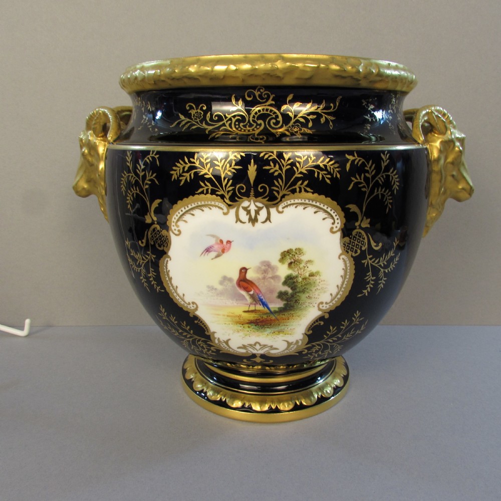 A cobalt blue porcelain jardiniere featuring gilded ram head handles, elaborate scroll gilding, and a central painted vignette of birds.