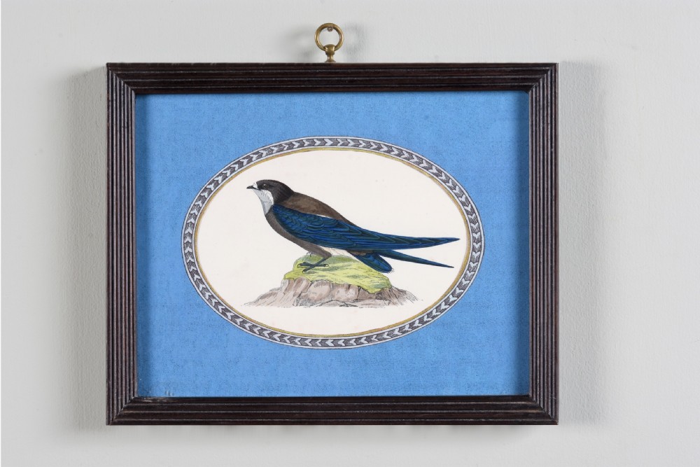 A set of six dark-framed natural history engravings featuring various bird species presented in oval mounts against blue backdrops with brass hanging rings. View II