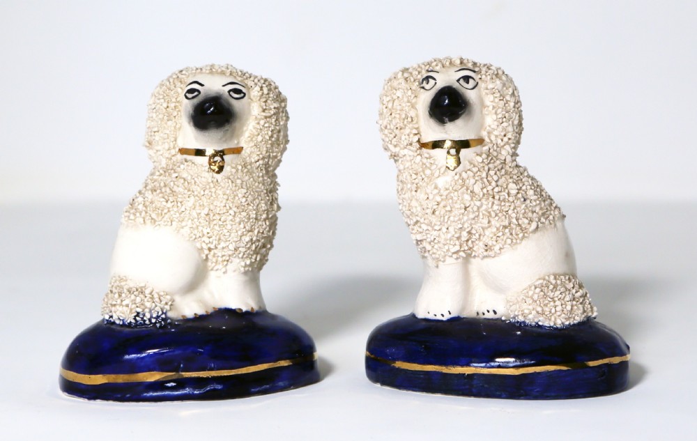 A pair of antique ceramic Staffordshire dog figurines with white encrusted textured fur, gold collars, and black muzzles, seated on cobalt blue cushion bases with gilt lines.
