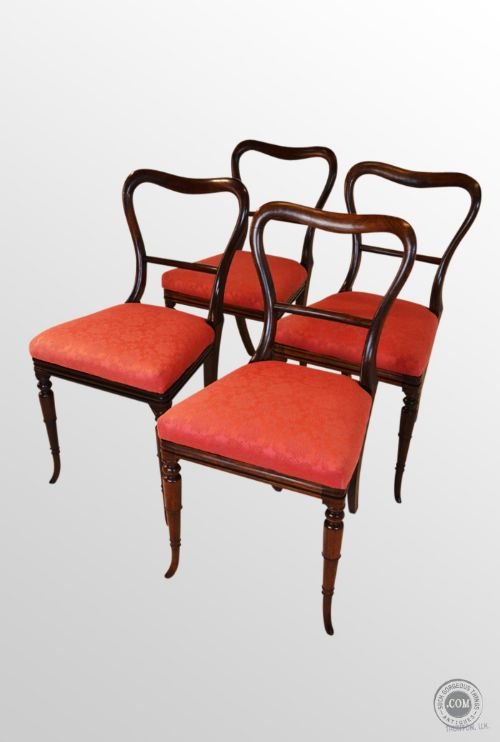 Regency Period Rosewood Dining Chairs Set of Four Antique Balloon Back C1830