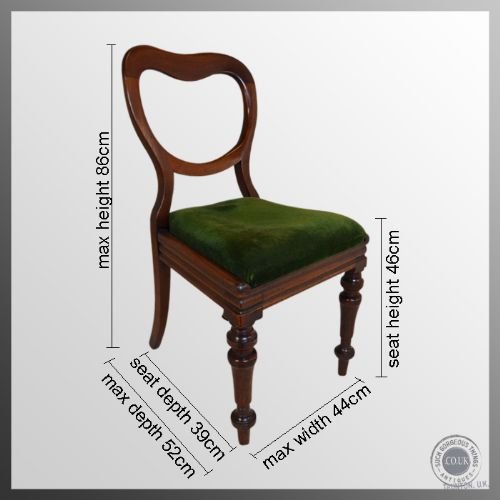 fig 1. Antique Dining Chairs Set of Four 4 Buckle Balloon Back Regency Mahogany c1830