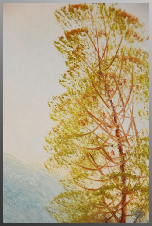 fig 2. Antique Art Oil Painting on Board Scottish Highland Landscape Scene c1900