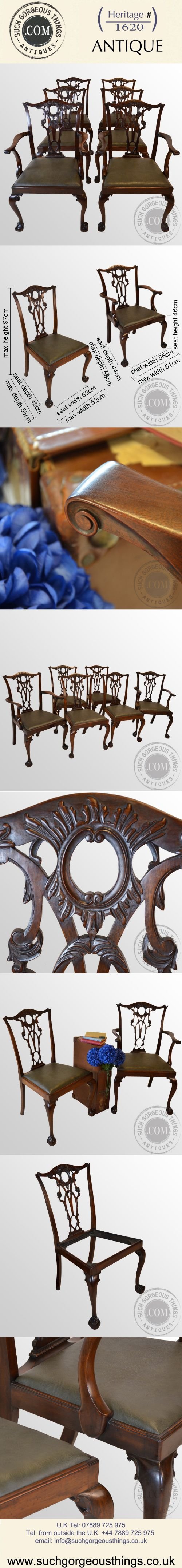 fig 4. Antique Set 6 Six Victorian Revival Chippendale Dining Chairs With Carvers c1880