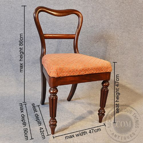 fig 1. Antique Set 6 Six Balloon Buckle Back Dining Chairs English Mahogany & Oak c1840