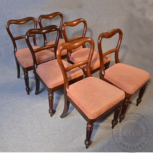 fig 2. Antique Set 6 Six Balloon Buckle Back Dining Chairs English Mahogany & Oak c1840