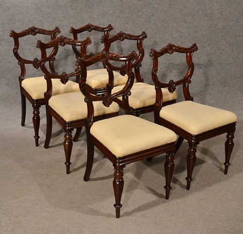 Antique Dining Chairs Rosewood Set of 6 Fine Quality William IV English C1835