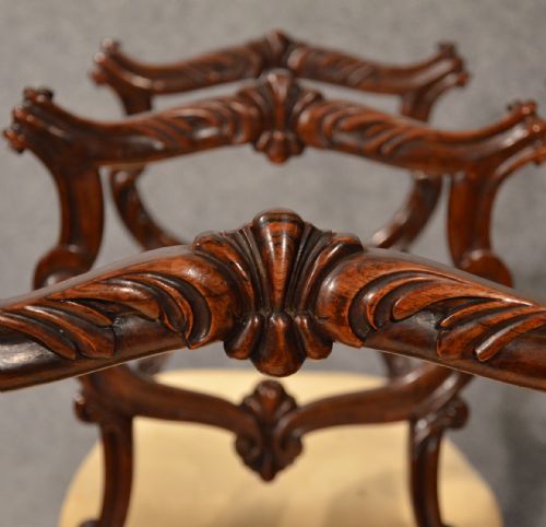 fig 5. Antique Dining Chairs Rosewood Set of 6 Fine Quality William IV English c1835