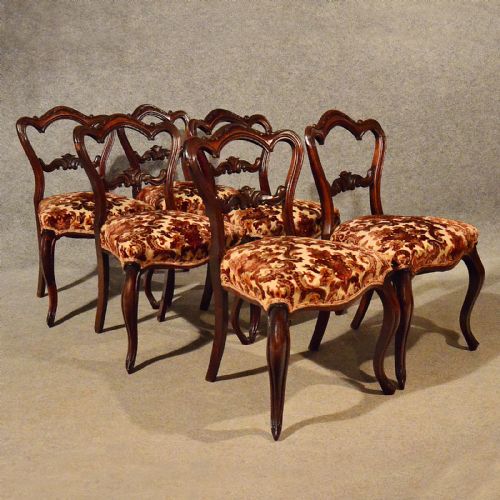 Antique Dining Chairs Set of 6 Quality Rosewood Early English Victorian C1840