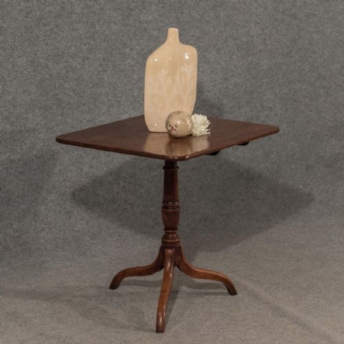 Antique Tripod Table Lamp Display Tilt Side Top English Oak Regency Period C1830