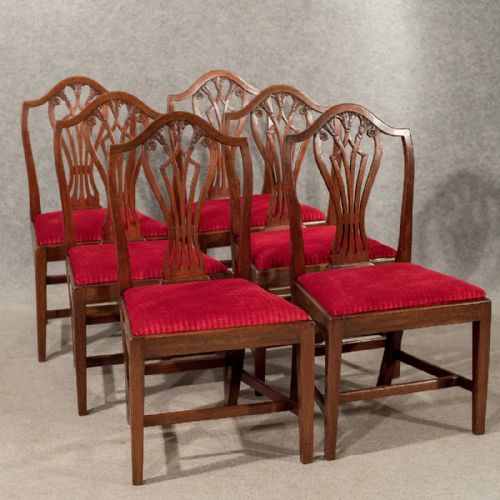	
Antique Set 6 Georgian Dining Chairs Sheraton Camel-back Quality Mahogany C1800