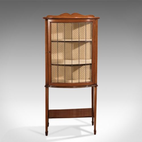 fig 1. Antique Glazed Display Cabinet, Edwardian c.1910