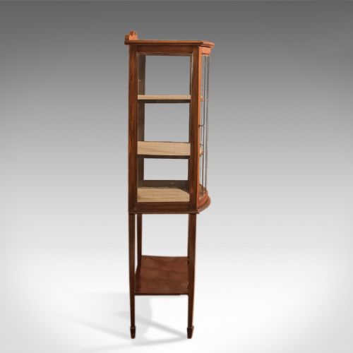 fig 2. Antique Glazed Display Cabinet, Edwardian c.1910