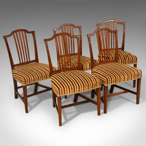 Antique Dining Chairs, Set of Five, Mahogany, Georgian, Sheraton, English C1800