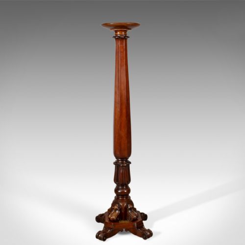 Antique Torchere, English, William Iv, Plant Stand, Mahogany, Circa 1835