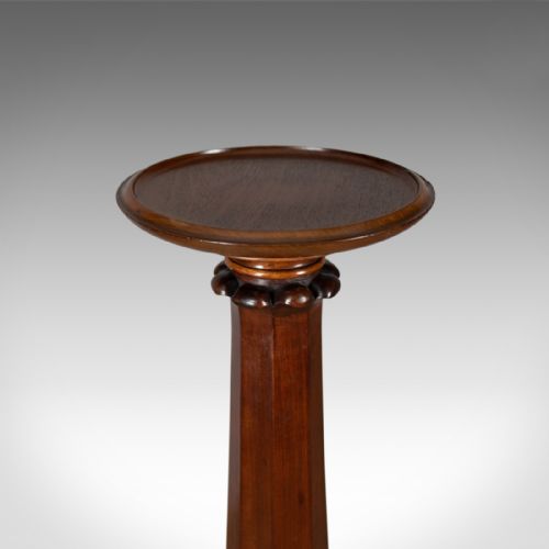 fig 1. Antique Torchere, English, William IV, Plant Stand, Mahogany, Circa 1835
