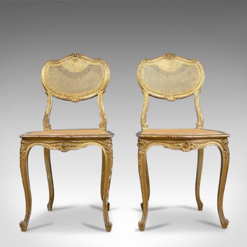 Pair of Antique Louis Xv Revival Salon Chairs, French, Giltwood, Cane, C19th, Circa 1900