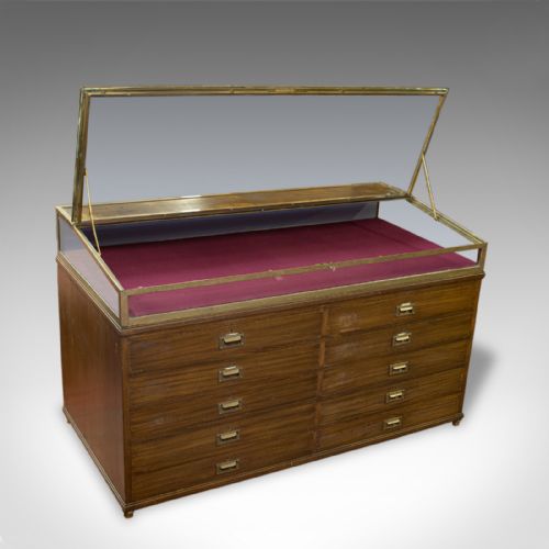 fig 4. Antique Museum Display Cabinet, Bronze Showcase, Collectors Chest, Edmonds c1910