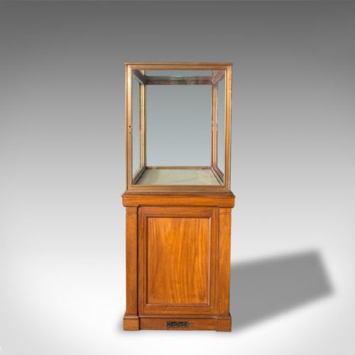fig 2. Antique Display Cabinet, English, Walnut, Bronze, Showcase, Museum, Circa 1900