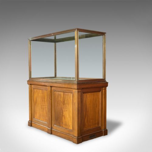 fig 4. Antique Display Cabinet, English, Walnut, Bronze, Showcase, Museum, Circa 1900
