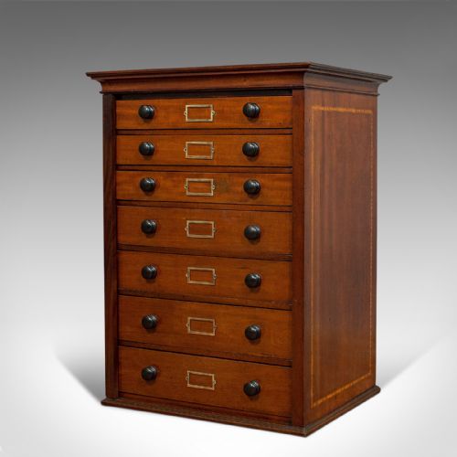 fig 2. Antique Specimen Cabinet, English, Mahogany, Chest of Drawers, Shop, Edwardian