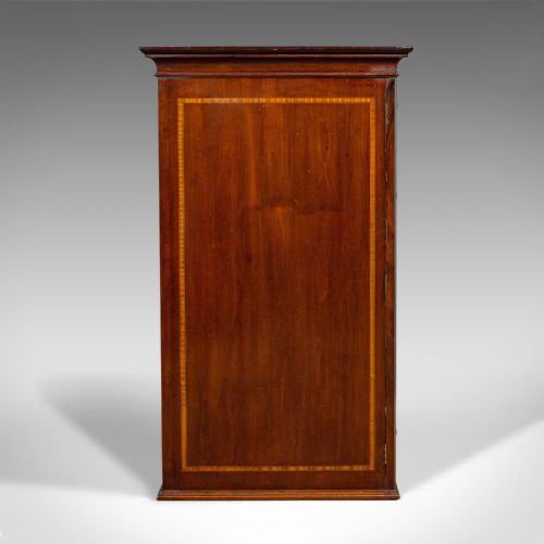 fig 3. Antique Specimen Cabinet, English, Mahogany, Chest of Drawers, Shop, Edwardian