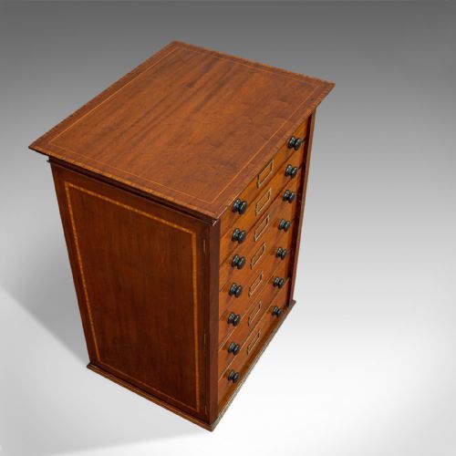 fig 5. Antique Specimen Cabinet, English, Mahogany, Chest of Drawers, Shop, Edwardian