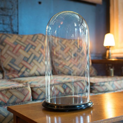 Antique Display Dome, Glass, Taxidermy, Collectibles, Showcase, Edwardian, 1910