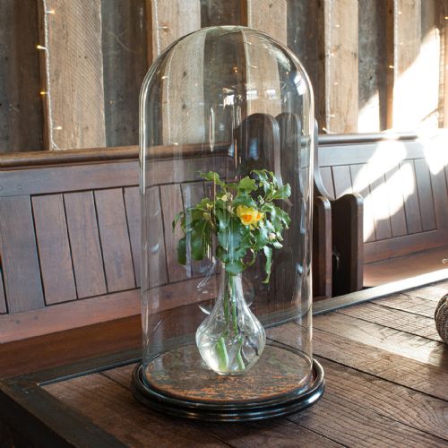 fig 1. Antique Taxidermy Dome, English, Glass, Collectible, Display Showcase, Edwardian