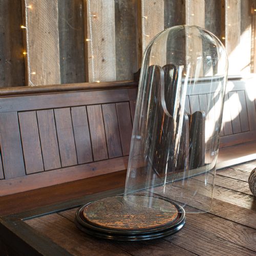 fig 2. Antique Taxidermy Dome, English, Glass, Collectible, Display Showcase, Edwardian