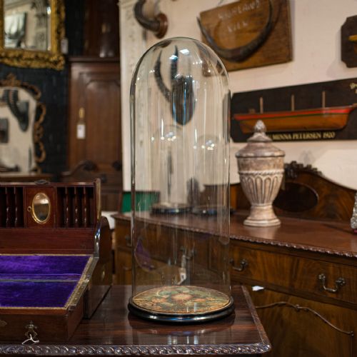 fig 2. Large Antique Glass Display Dome, English, Taxidermy, Showcase, Victorian, 1900