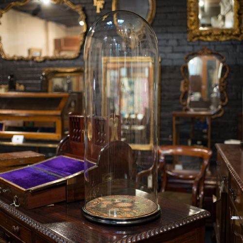 fig 3. Large Antique Glass Display Dome, English, Taxidermy, Showcase, Victorian, 1900