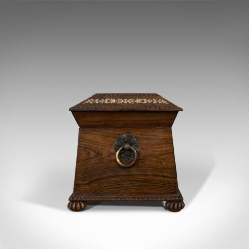 fig 4. Ornate Antique Tea Caddy, English, Rosewood, Sarcophagus, Regency, C.1820